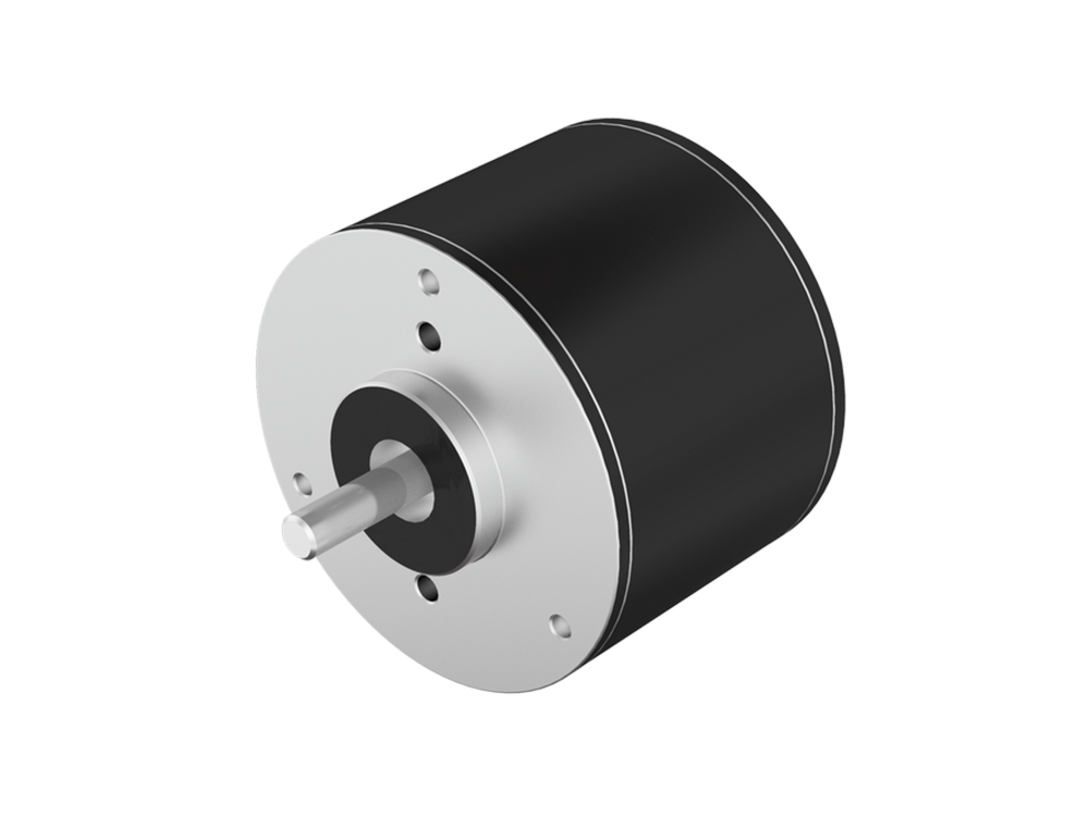 42mm RBL Brushless DC Motor