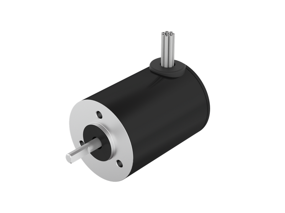 28mm Brushless DC Motor 